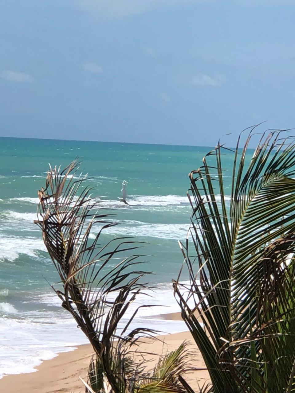 דירות Temporada Em Maceio מראה חיצוני תמונה